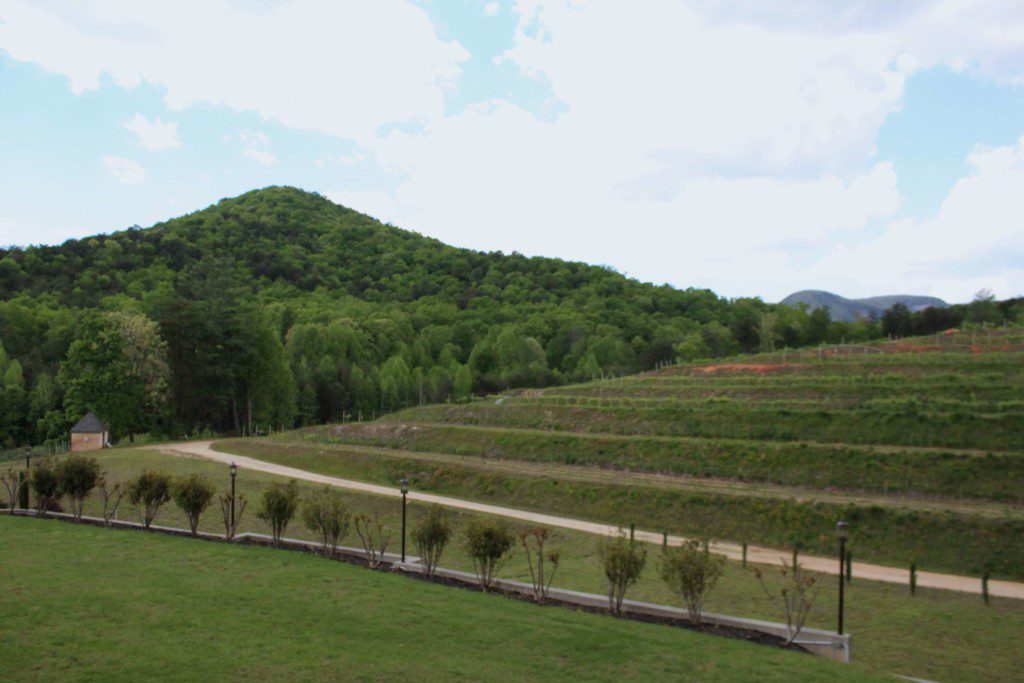 Victoria-Valley-Vineyards-hilltop