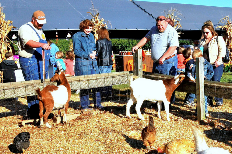Fishers-Orchard-fall-festival