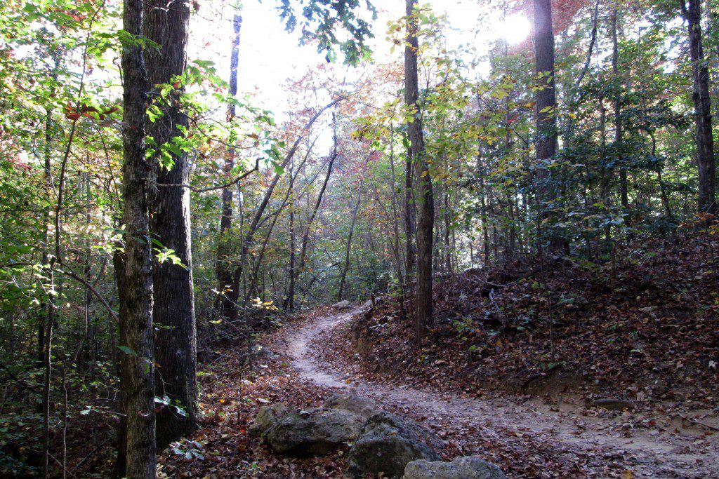 Paris-Mountain-walking-trail