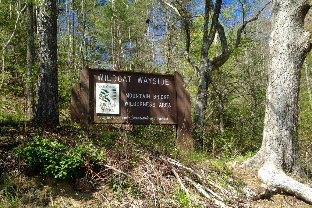 Wildcat Wayside 5