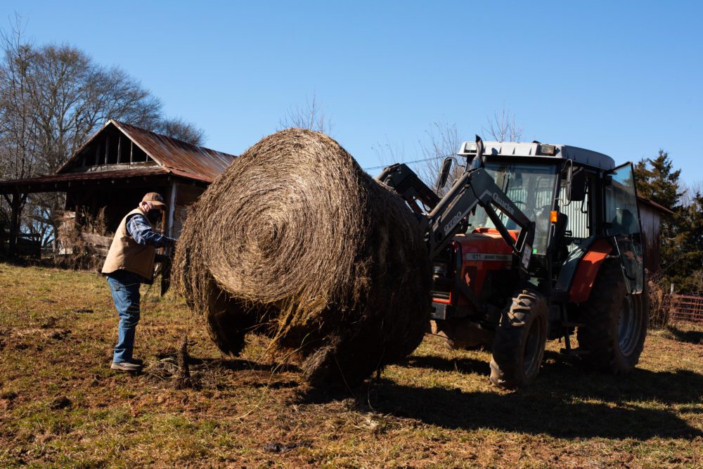 Satterfield Farms