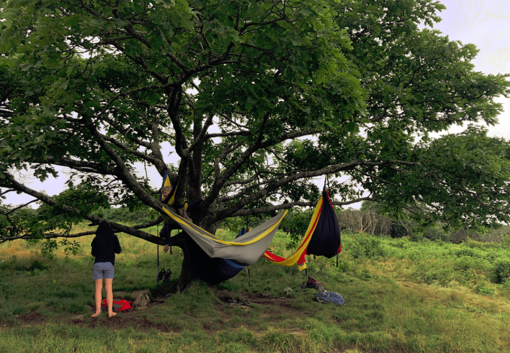 hammock camping