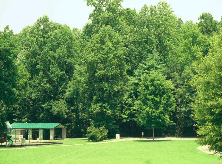 Poinsett Park