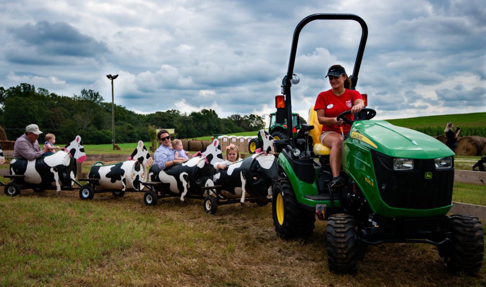 cow train