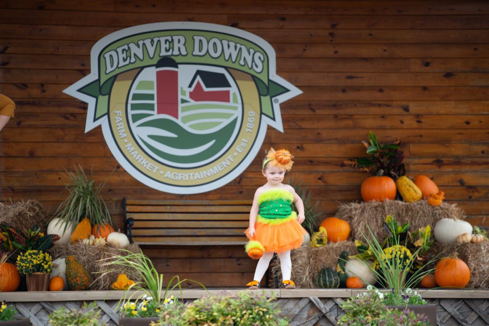 Denver Downs Visit