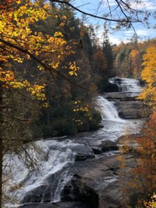 DuPont Forest