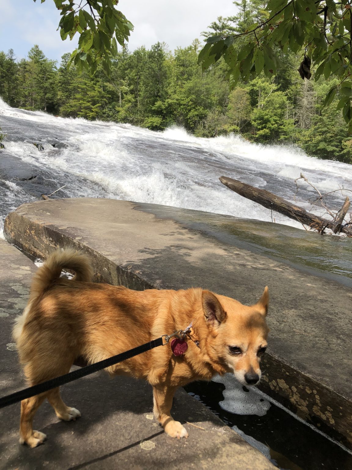 Take a Hike Bridal Veil Falls in DuPont State Forest Travelers Rest Here