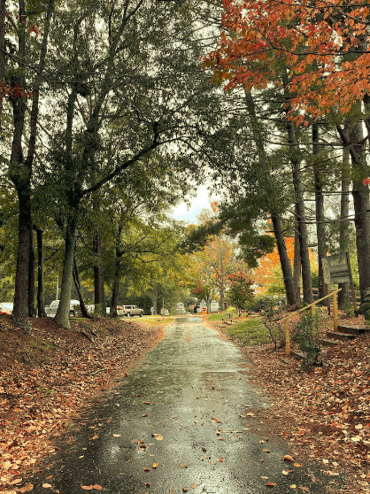 Swamp Rabbit Trail 4