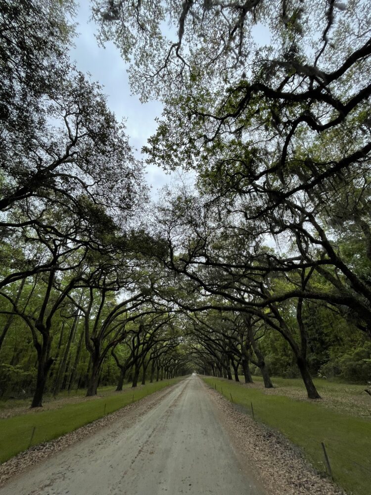 Wormsloe