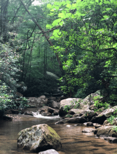 South Carolina Hiking Jones Gap