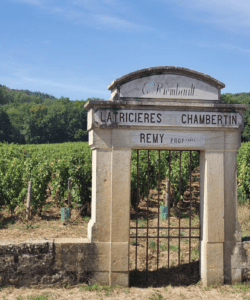 Alex in France 1