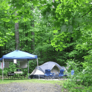 Black-Forest-Campground