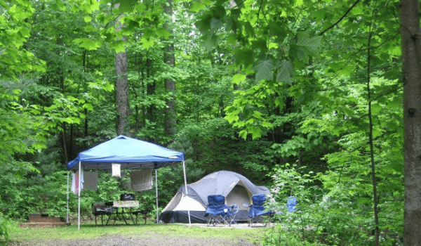Black-Forest-Campground