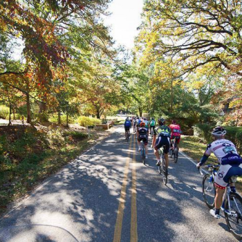 Gran-Fondo-Hincapie