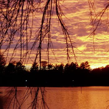 Greenville-SC-sunset