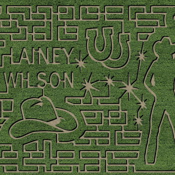 lainey corn maze
