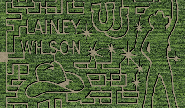lainey corn maze