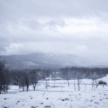 snow in TR